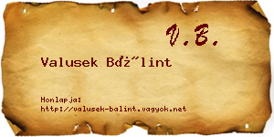 Valusek Bálint névjegykártya