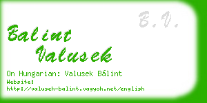 balint valusek business card