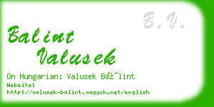 balint valusek business card